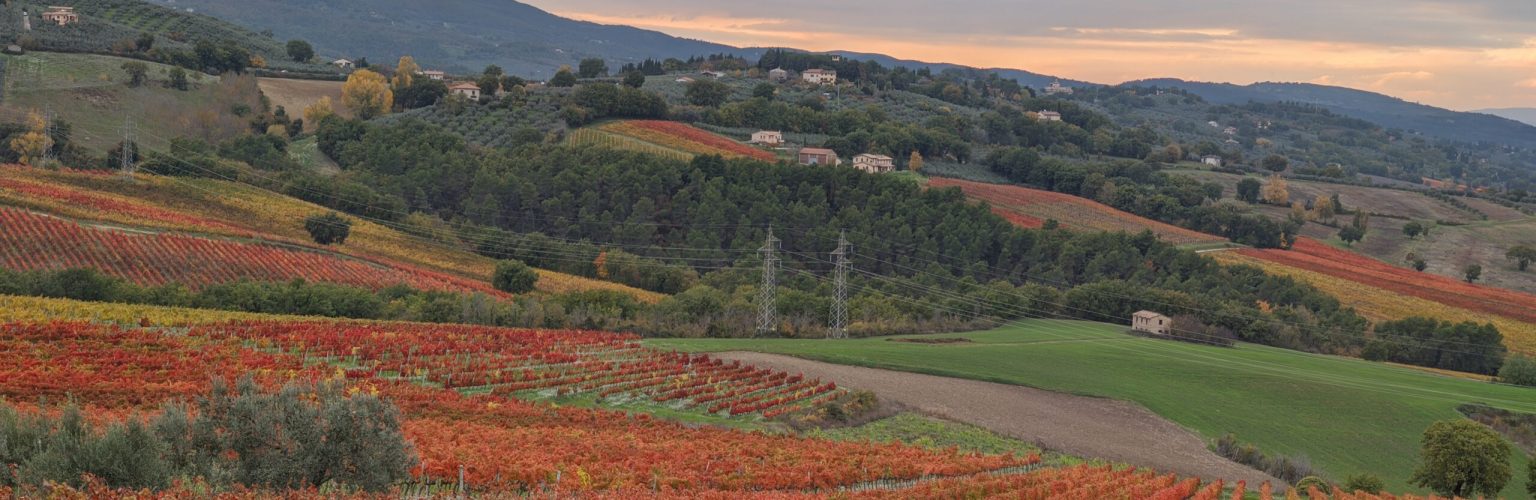 Degustazione a Montefalco