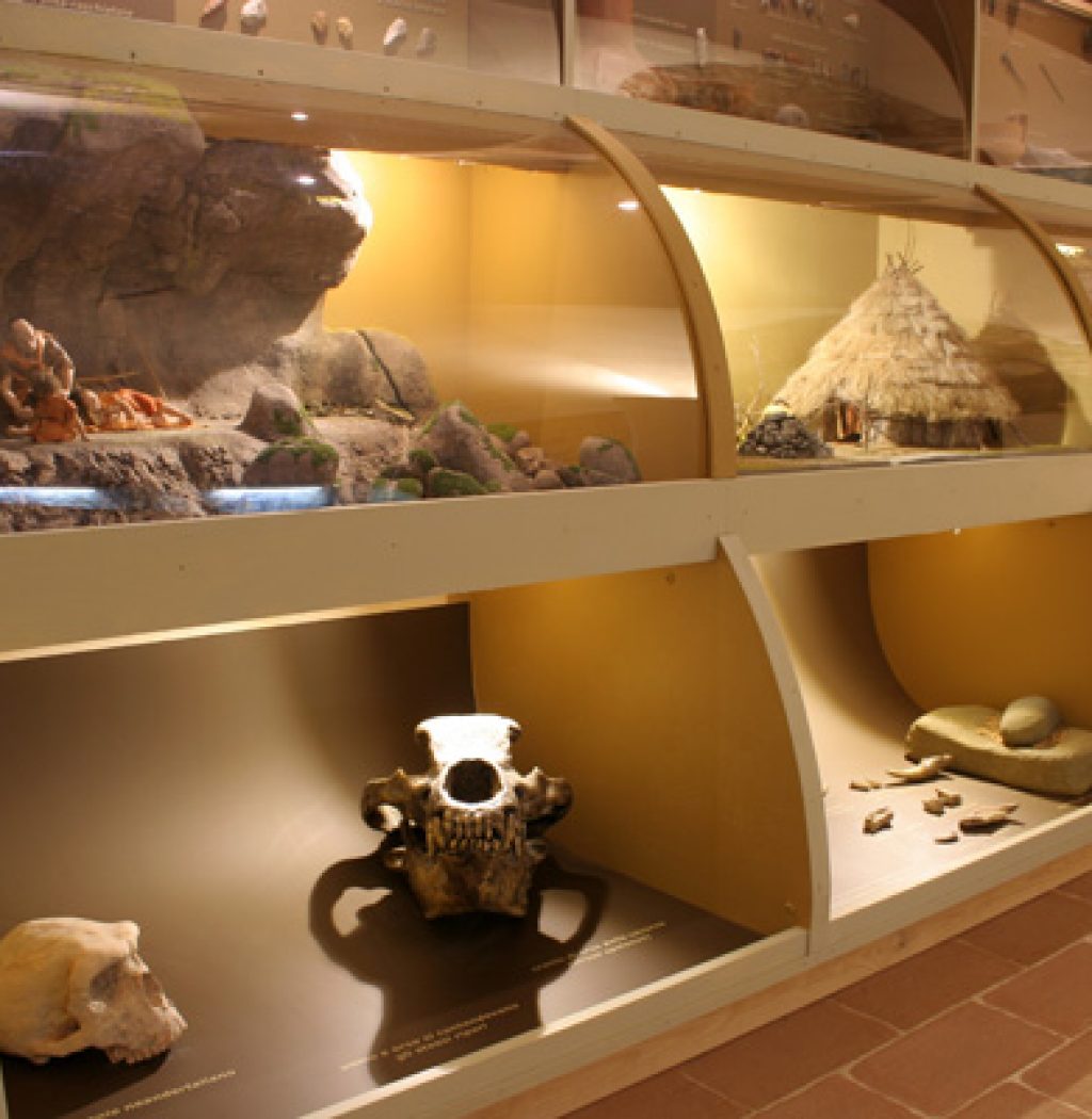 museo storia naturale polo museale santa lucia